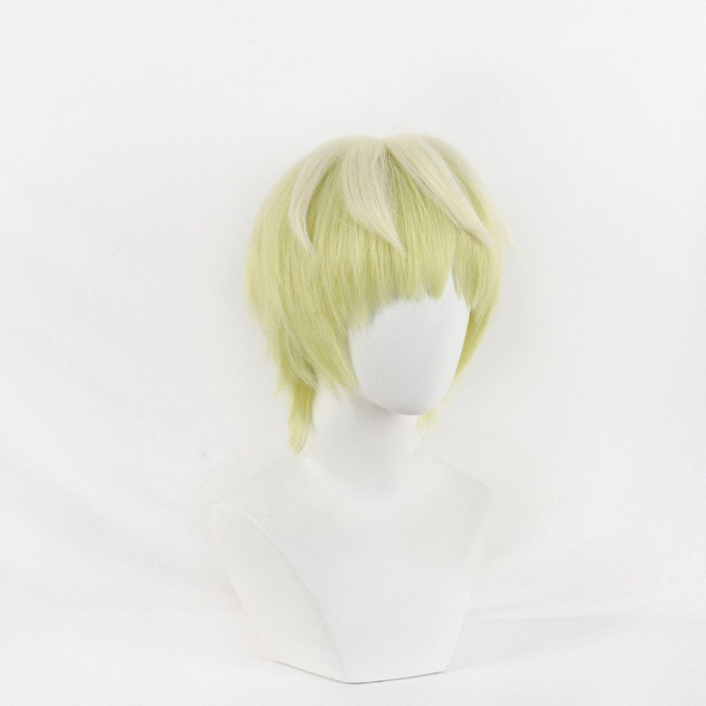アニメ コスプレ 出雲天花 衣装 ウィッグ詳細