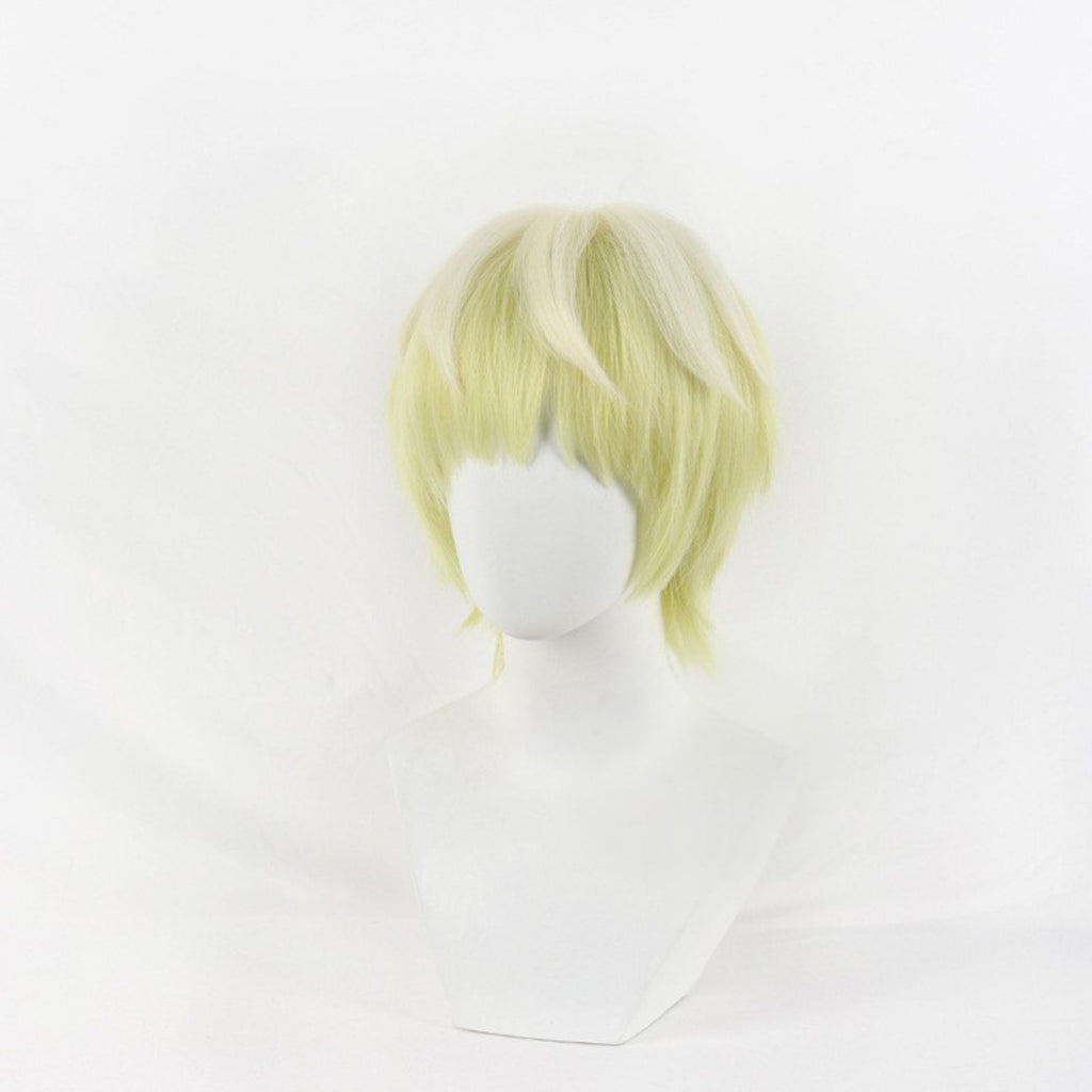 アニメ コスプレ 出雲天花 衣装 ウィッグ詳細